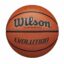 Wilson Evolution Official Game Basketball
